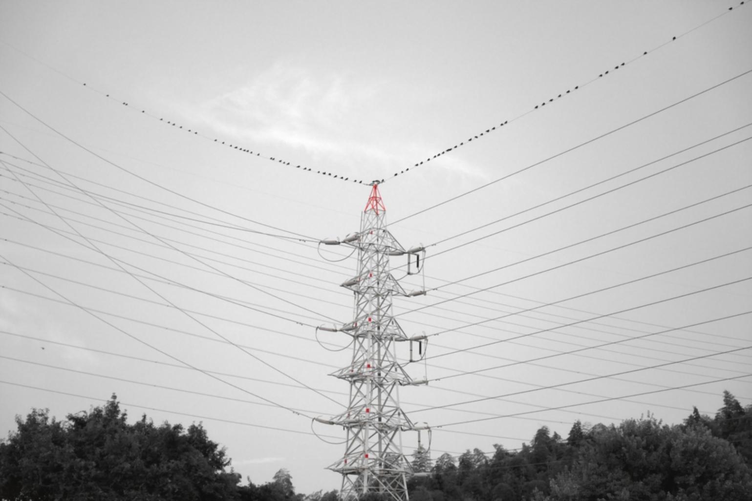 Parc éolien offshore illustrant les applications pratiques enseignées dans notre programme